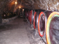 Degustace ve vinném sklepě s ubytováním