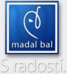 Logo firmy