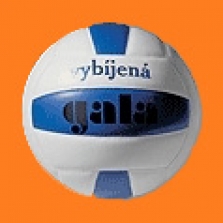 Volejbalový míč Gala Vybíjená