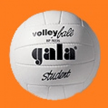 Volejbalový míč Gala Student