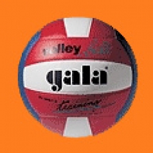 Volejbalový míč Gala Training Colour