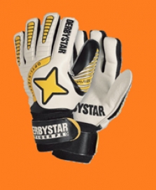 Brankářské rukavice Derbystar Tiger Pro