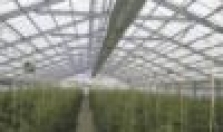Skleníkové platne Ondex Bio 2