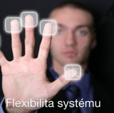 ERP systém pro velké společnosti
