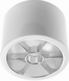 Downlight typ D51