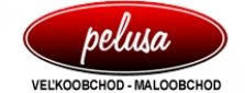 Logo firmy