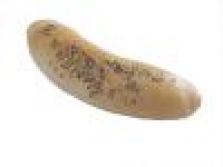 Běžné pečivo