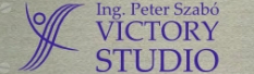Logo firmy