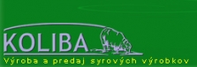 Logo firmy