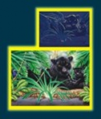 Puzzle 1000 Starline