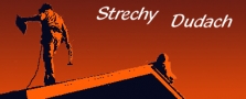 Logo firmy
