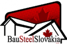 Logo firmy