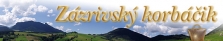 Logo firmy