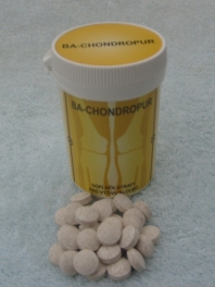 BA-CHONDROPUR