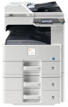 TA 256i