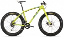 Fat bike