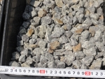 A photo of a fox