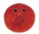 Červená krvinka