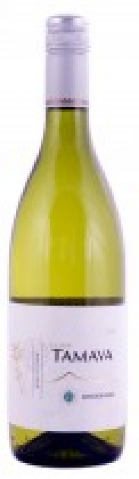 Bílá vína (Chile)