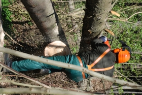 BOZP-školení, činnost koordinátora BOZP, výcvik dřevorubců aj.