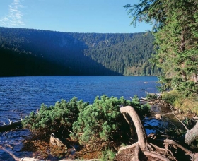 Lázně, wellness Šumava