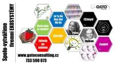 GATO Consulting