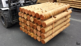 Dřevěné palisády