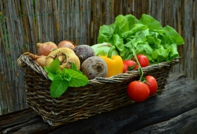 Prodej a dovoz ovoce a zeleniny