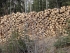 Výroba palivového dřeva - DOWNSKY