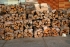 Prodej palivového dřeva  -  DOWNSKY