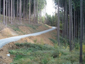 Výstavby a opravy lesních cest
