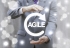 PRINCE2 Agile® Intro