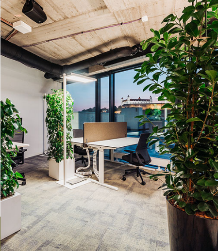 Zariaďovanie interiéru zeleňou pre kancelárske a bytové priestory