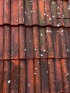 Čištění fasád a střech