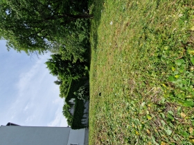 sečení trávy a údržba zelených ploch