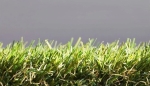 A photo of a fox