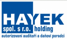 Účetnictví, auditorské služby