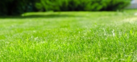 Údržbu domů a zahrad