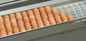 Prodej a servis balicích a třídicích strojů