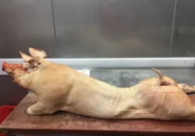 Prodej masa, výroba uzenin