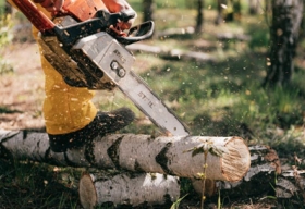 Arboristika a zahradnické práce