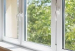 A photo of a fox
