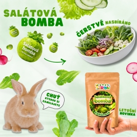 Tvorba reklam na sociální sítě - Facebook, Instagram