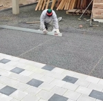 A photo of a fox