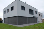 A photo of a fox