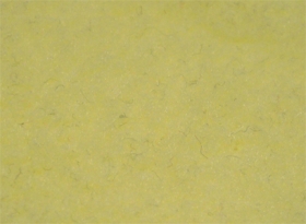 Textilie pletené 