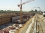 A photo of a fox