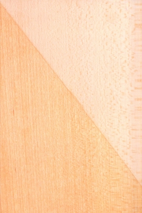 Prodej dřeva - lípa