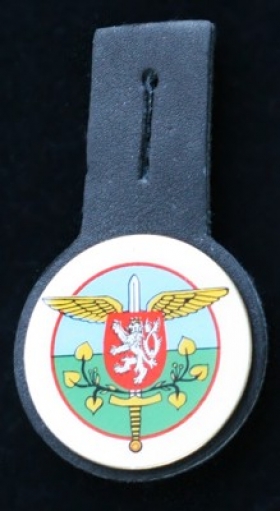 Kapsový znak se znakem Armádního letecva