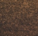 A photo of a fox